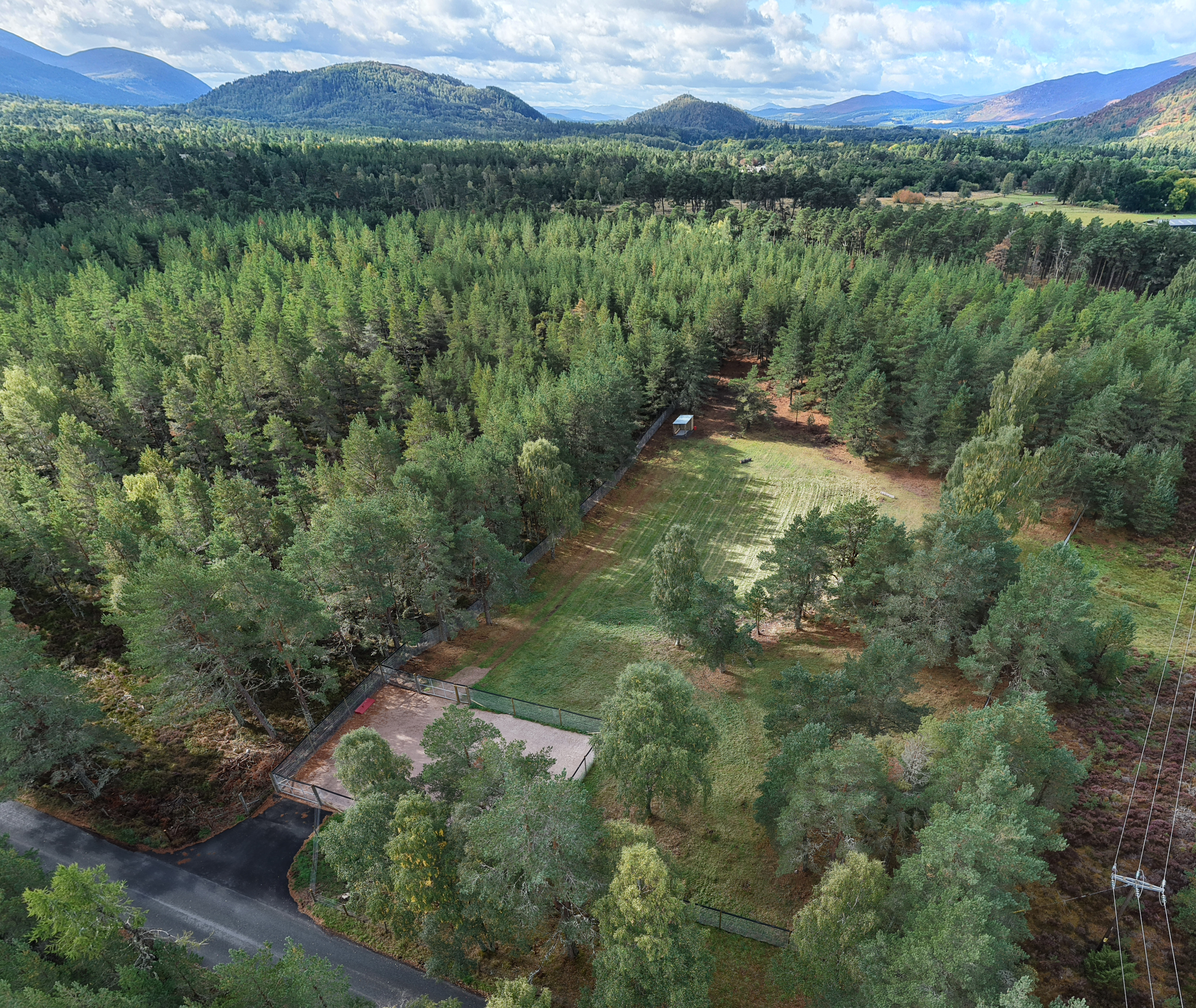 wide shot of The Glade woodland and copse
